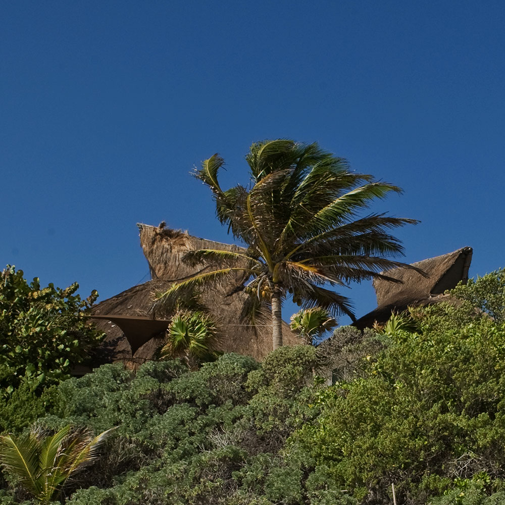casa-ninos-gallery-24