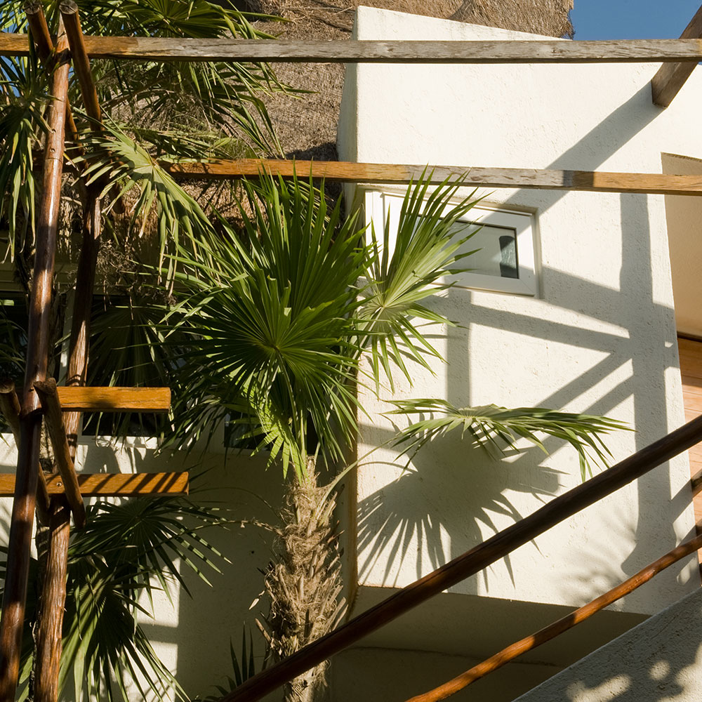 casa-ninos-gallery-55