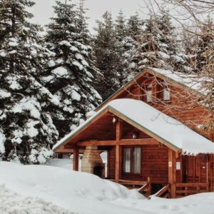 Cabin in the snow