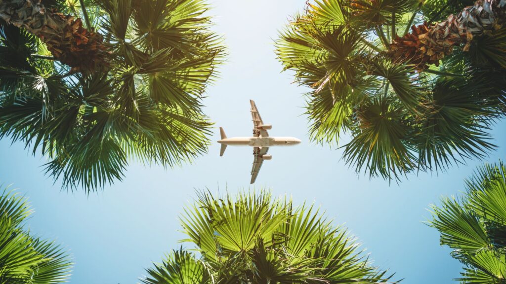 plane flying over palm trees