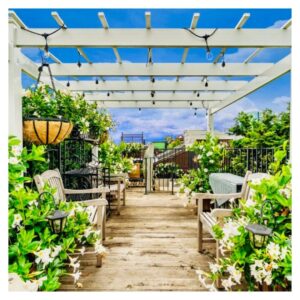 Beacon Hill roof deck