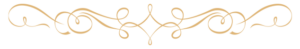 embellishment 2
