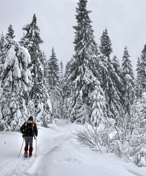 skiing