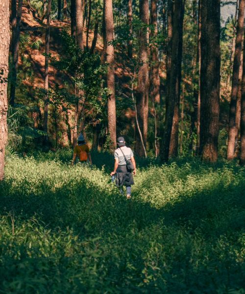hiking