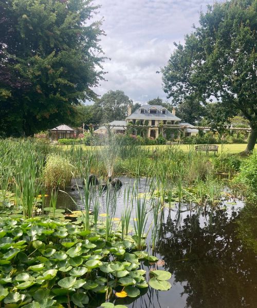 pond
