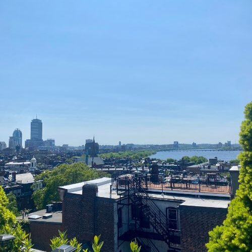 rooftop view