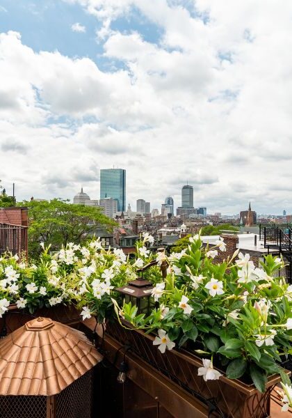 rooftop view